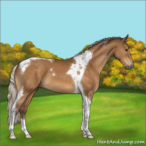 Horse Color:Silver Buckskin Tobiano 