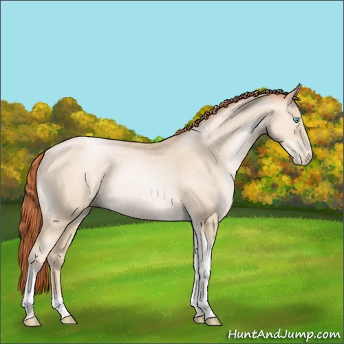 Horse Color:Sable Cream Champagne Pearl Tobiano Rabicano 