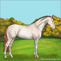 Horse Color:Sable Cream Champagne Pearl Tobiano Rabicano