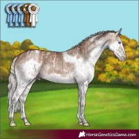 Horse Color:Chocolate Palomino Pearl Sabino Splash Tobiano Rabicano  and Silver Brown Dun Sabino Splash Tobiano Rabicano 