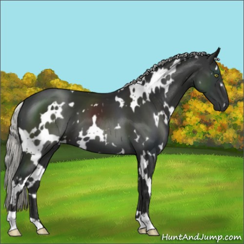 Horse Color:White Spotted Liver Chestnut Mushroom