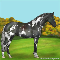 Horse Color:White Spotted Liver Chestnut Mushroom 