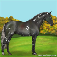 Horse Color:White Spotted Liver Chestnut Mushroom 