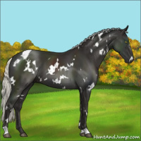 Horse Color:White Spotted Liver Chestnut Mushroom 