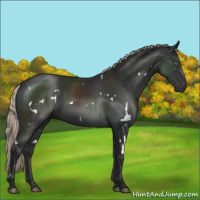 Horse Color:White Spotted Liver Chestnut Mushroom 