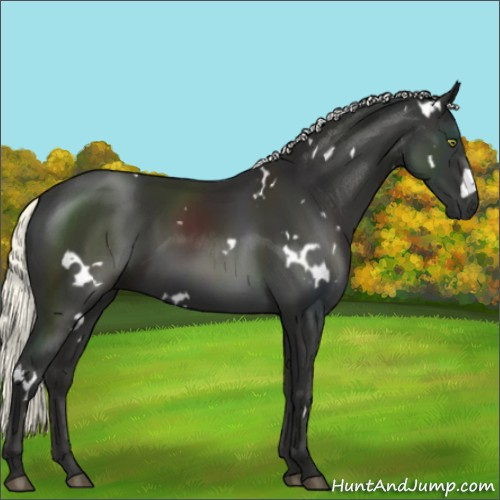 Horse Color:White Spotted Liver Chestnut Mushroom 