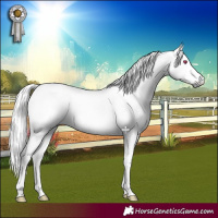 Horse Color:Liver Chestnut Chinchilla 