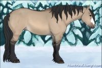 Horse Color:Bay Dun