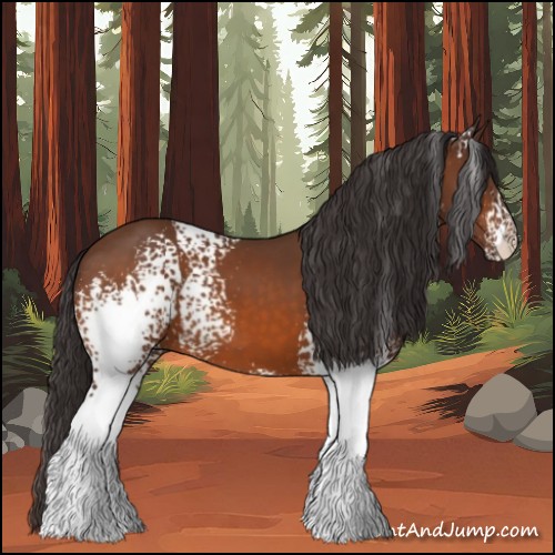 Horse Color:White Spotted Buckskin