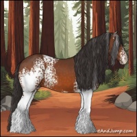 Horse Color:White Spotted Buckskin 
