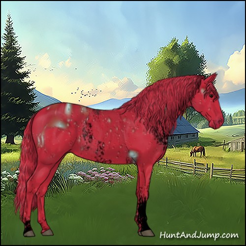 Horse Color:ERROR: UNKNOWN ANOMALY