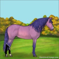 Horse Color:Watercolor Bay Roan Dun 