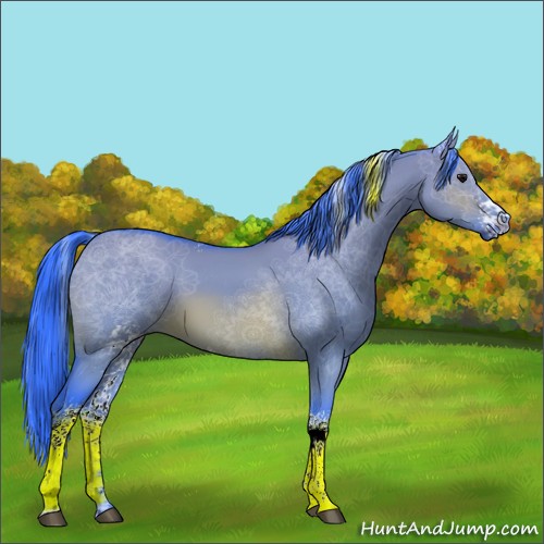 Horse Color:Watercolor White Spotted Brown Dun 