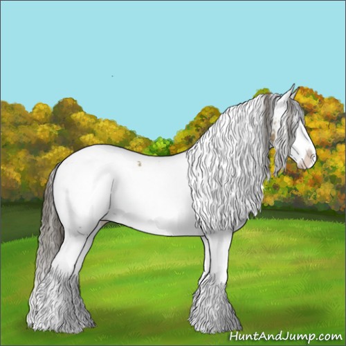 Horse Color:White Spotted Buckskin Splash 