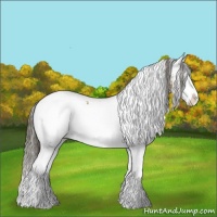 Horse Color:White Spotted Buckskin Splash 
