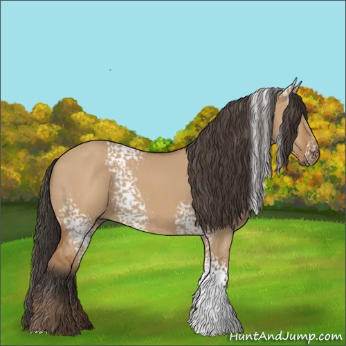 Horse Color:White Spotted Bay Dun