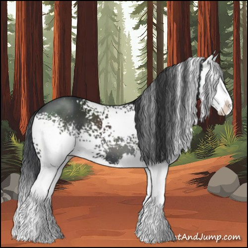 Horse Color:White Spotted Black Splash