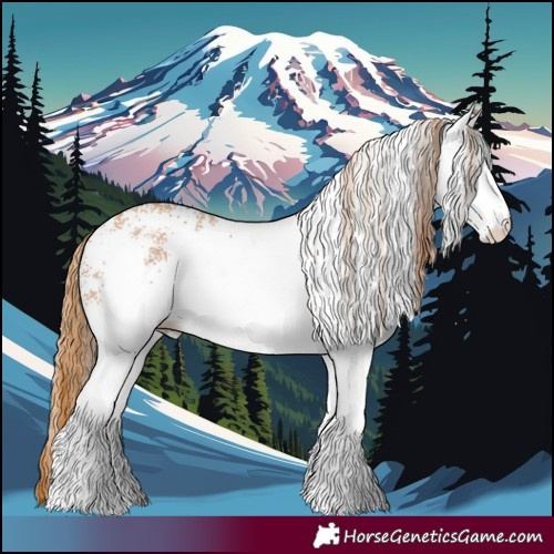 Horse Color:White Spotted Chestnut