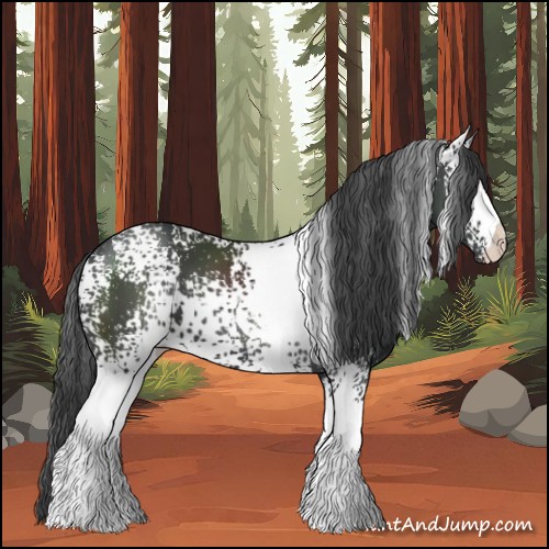 Horse Color:White Spotted Black
