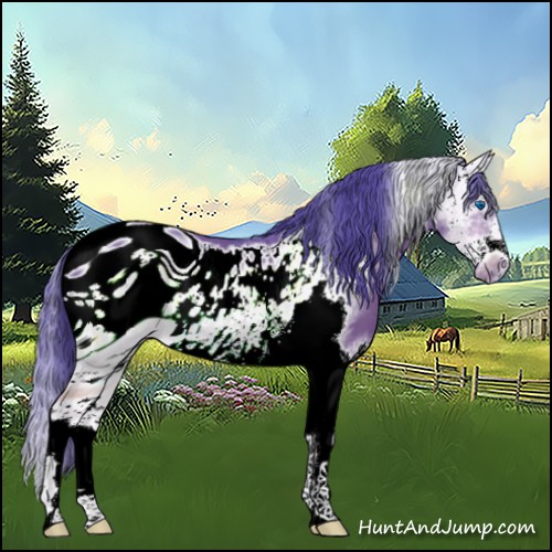 Horse Color:ERROR: UNKNOWN ANOMALY