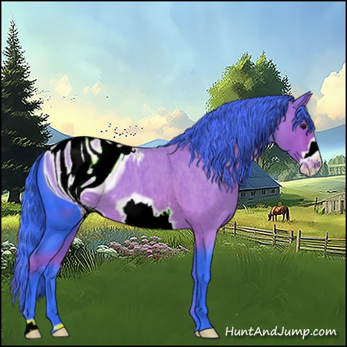 Horse Color:ERROR: UNKNOWN ANOMALY