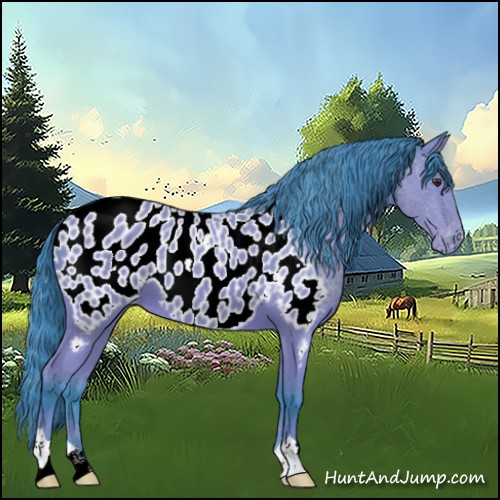 Horse Color:Watercolor Bay Appaloosa 