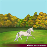 Horse Color:Cremello 