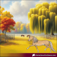 Horse Color:Palomino Dun 