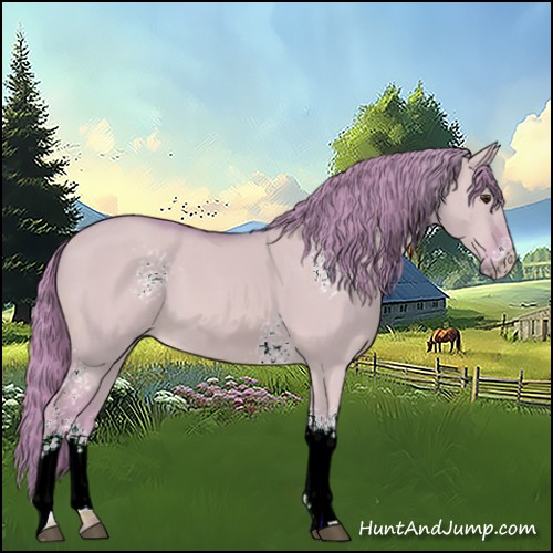 Horse Color:Watercolor White Spotted Red Dun 