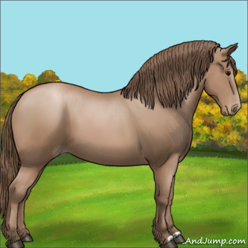 Horse Color:Black Pearl 