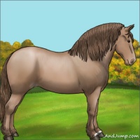 Horse Color:Black Pearl 