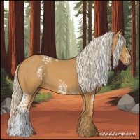 Horse Color:White Spotted Palomino 