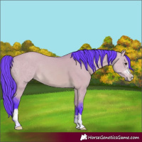 Horse Color:Watercolor Bay Dun 