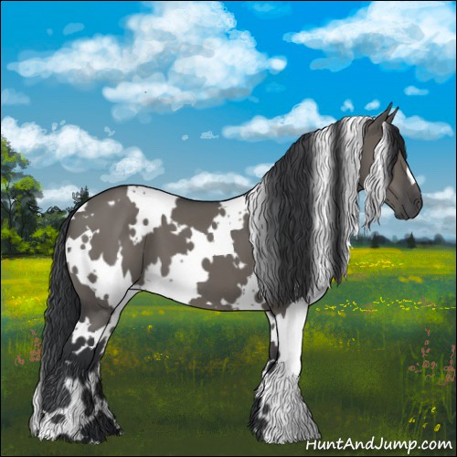 Horse Color:White Spotted Grullo