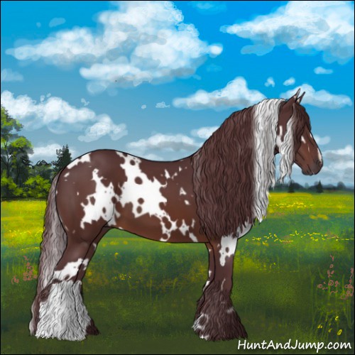 Horse Color:White Spotted Chocolate Brown 