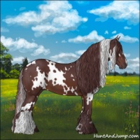 Horse Color:White Spotted Chocolate Brown 