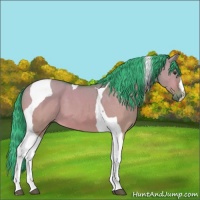 Horse Color:Watercolor Buckskin Dun Tobiano 