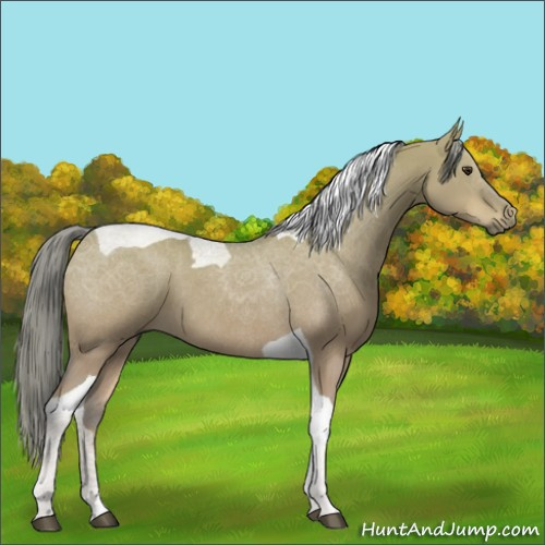 Horse Color:Watercolor Liver Red Dun Tobiano Rabicano