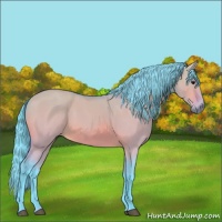 Horse Color:Watercolor Bay Dun Sabino 