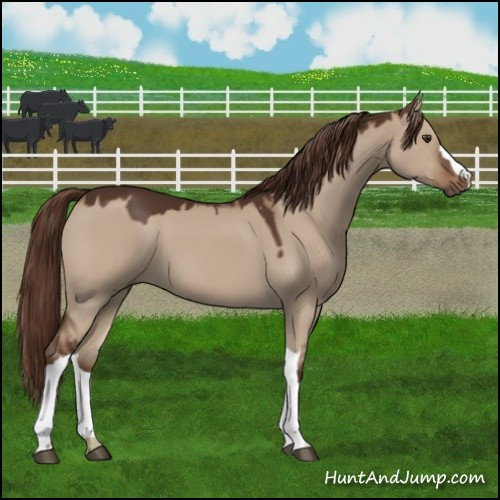 Horse Color:Liver Red Dun 