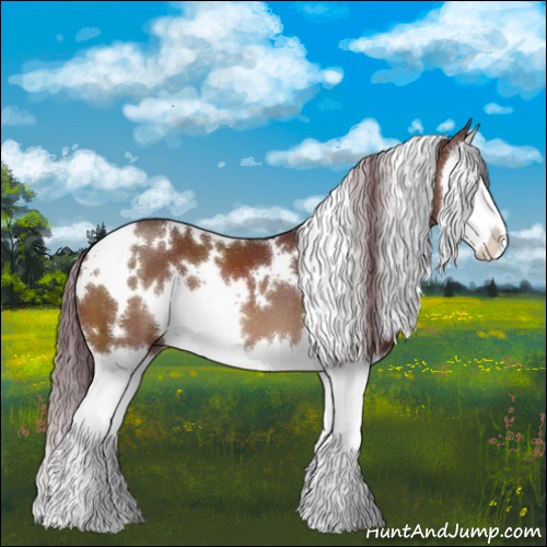 Horse Color:White Spotted Chocolate Bay Splash