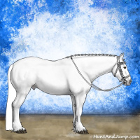 Horse Color:Gray Grullo Pearl 