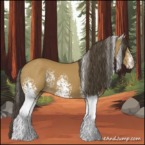 Horse Color:White Spotted Buckskin Rabicano 