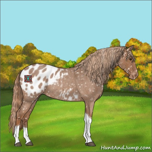 Horse Color:Red Roan Tobiano Blanket