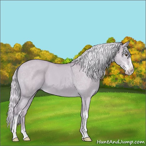 Horse Color:Watercolor Palomino Dun Sabino