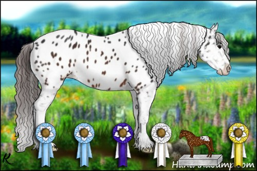 Horse Color:Brown Appaloosa 