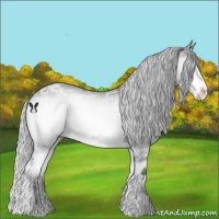 Horse Color:Silver Brown Chinchilla Ice Onyx Sabino 