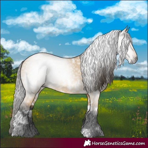 Horse Color:Gray White Spotted Buckskin Dun 