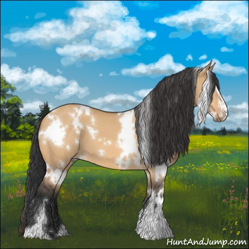 Horse Color:White Spotted Bay Dun Sabino