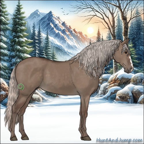 Horse Color:Silver Grullo 